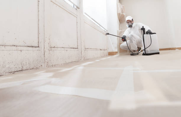 24/7 Emergency Commercial Mold Remediation experts in Forest Lake, IL